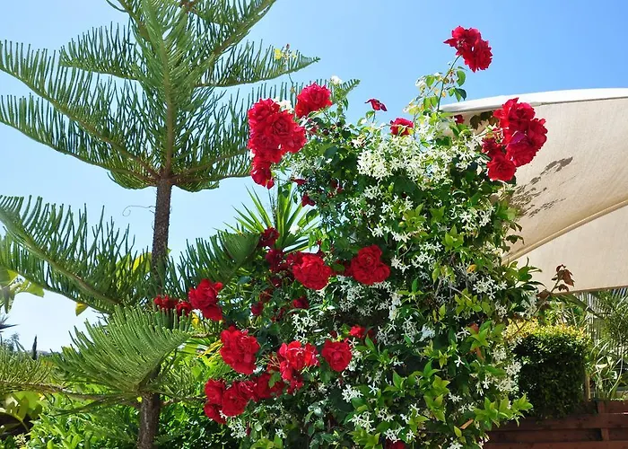 Sandy Βίλα Πόλη